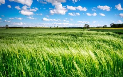 Come riconoscere lo Spirito di Dio che soffia su di noi