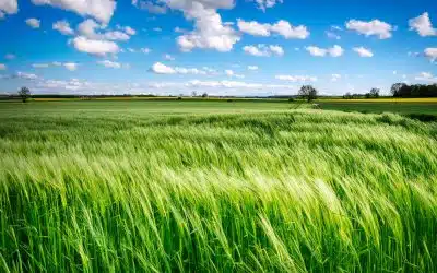 Come riconoscere lo Spirito di Dio che soffia su di noi