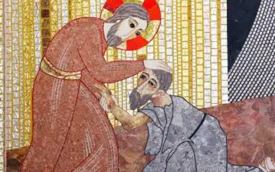 Quando la dolcezza diventa amarezza